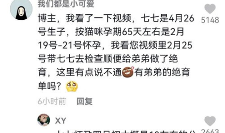 娱乐吃瓜解说博主是谁啊,揭秘幕后神秘人物