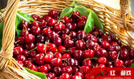 娱乐吃瓜酱樱桃,娱乐吃瓜酱的甜蜜瓜界风云录