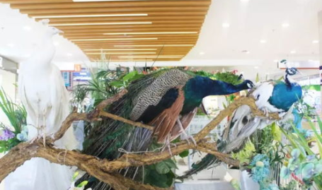 郑州吃瓜娱乐官网,揭秘城市美食与娱乐新风向