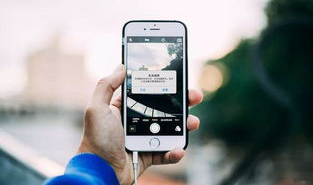 娱乐吃瓜酱摔手机,背后原因揭秘