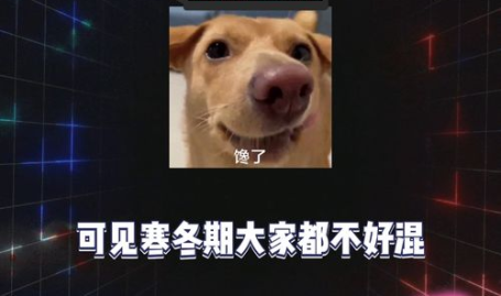 吃瓜娱乐八卦号是什么,吃瓜娱乐八卦号背后的秘密与魅力