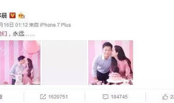 娱乐圈吃瓜娱乐间是什么,吃瓜娱乐间背后的真相与内幕