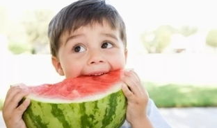 娱乐吃瓜懒猫儿,轻松解码娱乐圈热点