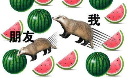 娱乐大晨吃瓜,揭秘娱乐圈最新吃瓜事件，带你领略明星幕后故事