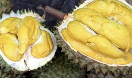 榴莲的吃法,多样吃法，尽享热带水果之王的美味