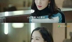 有关娱乐圈吃瓜小说推荐,揭秘明星背后的秘密，吃瓜小说推荐盘点